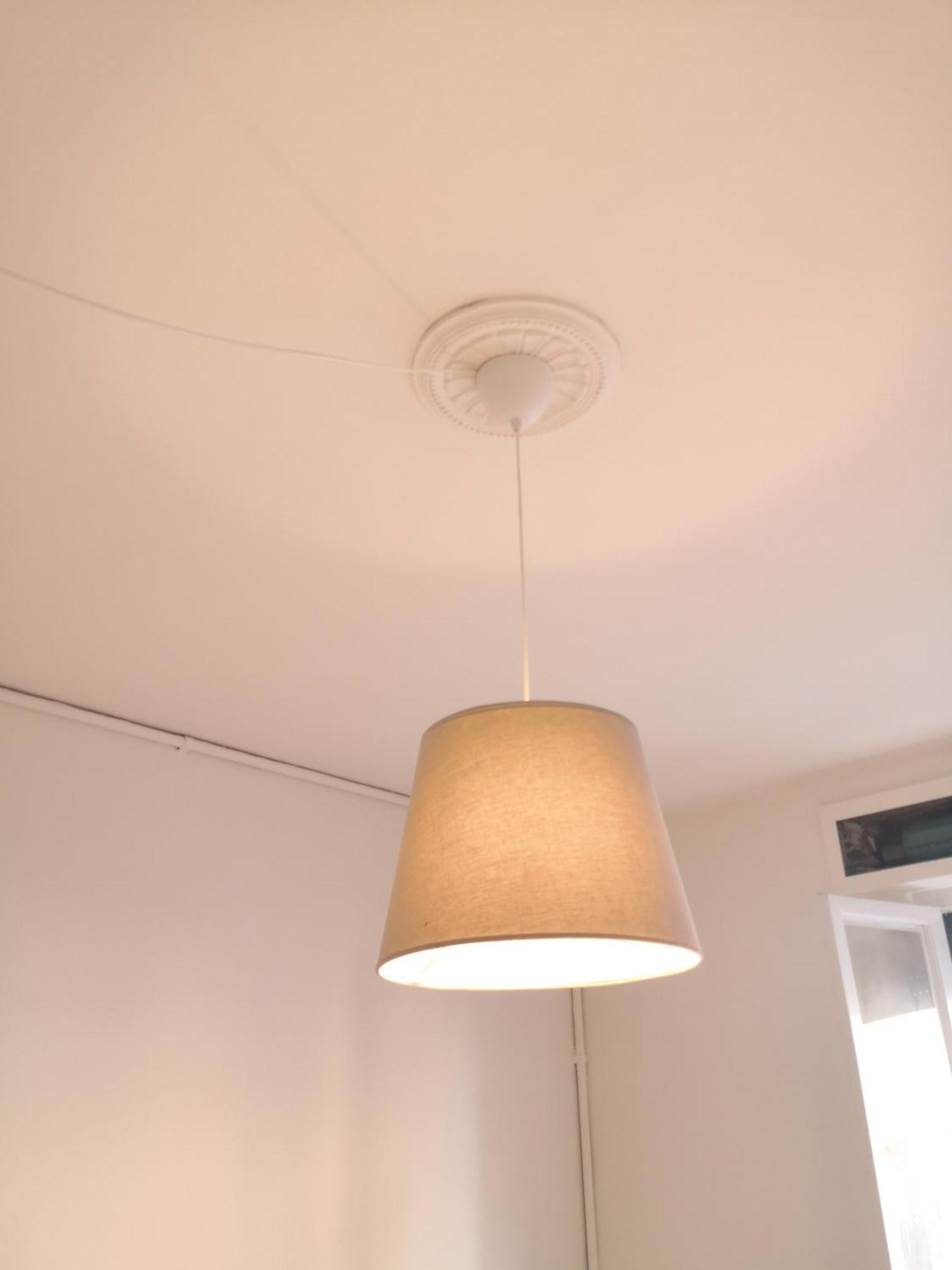 פיזה Green Home מראה חיצוני תמונה